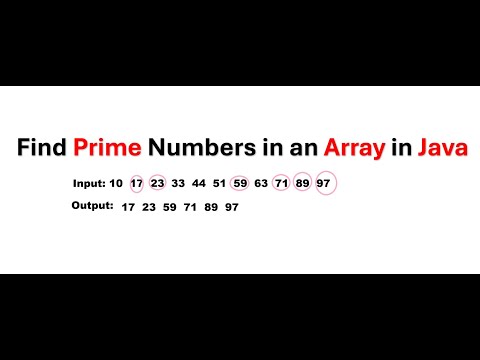 Find Prime Numbers In An Array In Java Java Interview Program