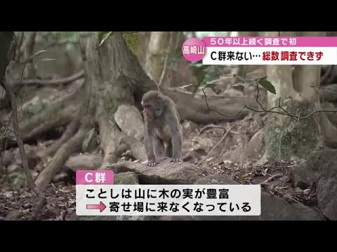 Monte Takasaki: Se completó el estudio de la población de monos sin que apareciera el grupo C, el primero en el medio siglo de historia de estudios de Oita