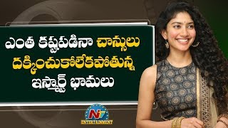 Why is Sai Pallavi Not Getting offers to Act in A-list Actor’s Movies | Box Office