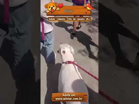 Vídeo de Brutos