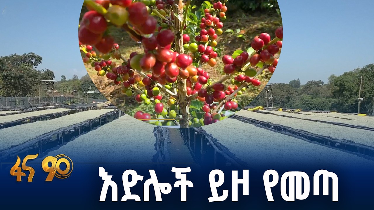 የአፍሪካ ነፃ የንግድ ቀጣና ለቡና