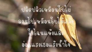 ใบไผ่ – ฤทธิพร อินสว่าง