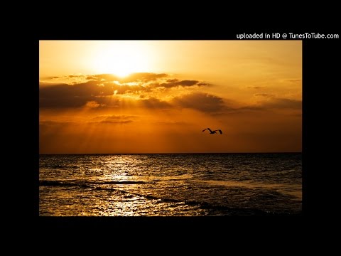 Sander Van Doorn, Martin Garrix & DVBBS feat. Aleesia - Gold Skies (Remix)