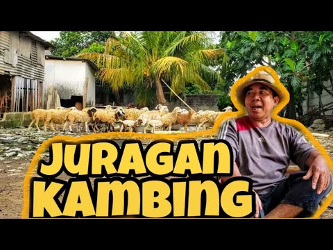 film-pendek-lucu-bocah-betawi-juragan-kambing