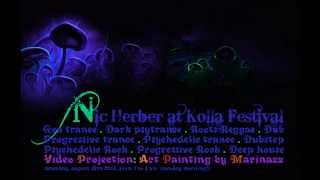 NIC HERBER @ KOLLA FESTIVAL, TRANCE, DUB,...