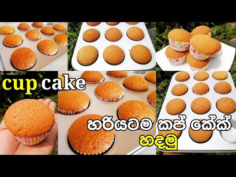 vanila cup cake/how to make cup cake/හරියට කප් කේක් හදමු සොෆ්ට් එකට/cup cake recipe by sapumal