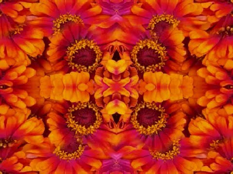 The Right Stuff (by the Bap Kennedy Trio live in Italy, 2014)