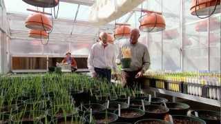 Gluten-Free Products - America's Heartland