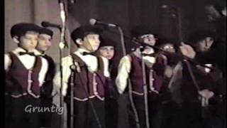 Tzlil Vzemer 1988 Ani Mamin