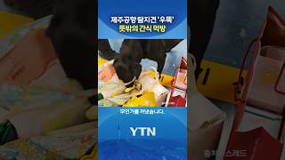 탐지견 : 압수하겠습니다 #shorts / YTN