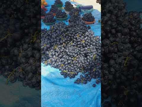 UVA BARATO SÓ AQUI NA FEIRA LIVRE DA GRANJA PORTUGAL FORTALEZA CE. 23/01/26.