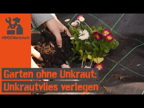 Unkrautvlies verlegen: endlich kein Unkraut mehr im Garten