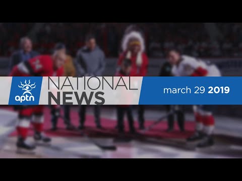 APTN National News March 29, 2019 – Wilson-Raybould recording, sea lion over population