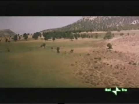 Il buono il brutto e il cattivo   Ei biondooo Lo sai di chi sei figlio tuu