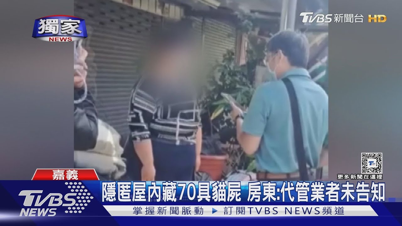 假愛媽被捕人設崩壞! 包租代管隱匿屋內藏70具貓屍