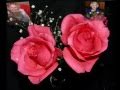 Paper Roses Vera Lynn & Sue Thompson, Floyd ...