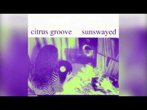 Citrus Groove // Mesmerized