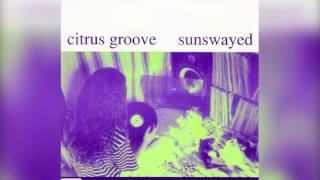Citrus Groove // Mesmerized