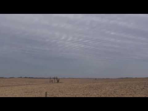 Bison (Tiny Dots) on the Prairie, Clouds Time-lapse