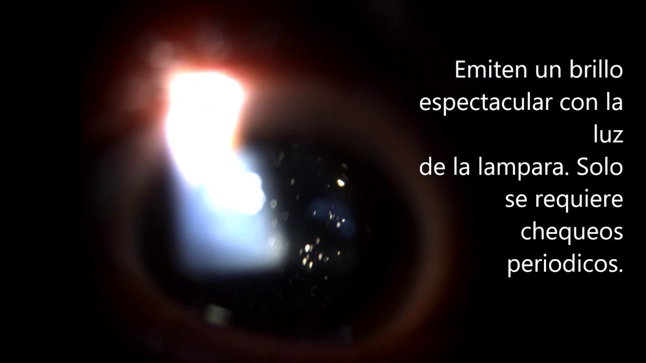 Hector Dario Forero Angel-43