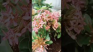 Download lagu DJ PARADIS JINGLE DEM DEM #djterbaru #karnavalsound mp3 Download lagu DJ PARADIS JINGLE DEM DEM #djterbaru #karnavalsound mp3