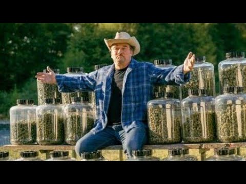 Growing Belushi - Se1 - Ep03 - The Weed Brothers (HD) ©