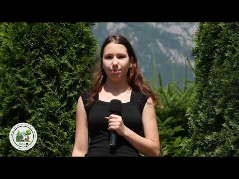 Cum este vremea în Tabăra TV - Georgiana Milotin