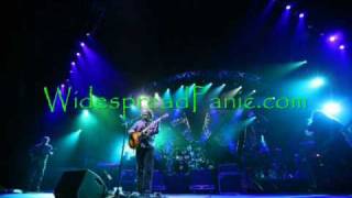 Widespread Panic- Love Tractor (Panic in the Streets)
