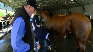 Lindsay Park Channel 7 story