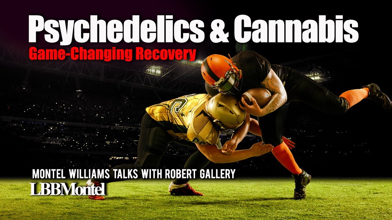 Let's Be Blunt with Montel — Beyond the Helmet: Robert Gallery on Healing with Psychedelics and Cannabis