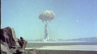 Untitled 63-Tyler, the Creator(Video by Alix Sannicandro)