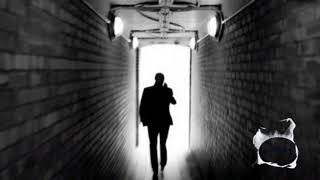 Roby Facchinetti e Riccardo Fogli - Il segreto del tempo