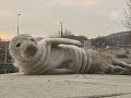 На набережную в Швеции выбрался детеныш тюленя (новости) 