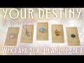 Who Are YOU Meant To Be? Find out Your Purpose & DESTINY