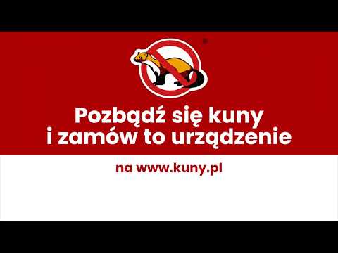 Masz problem z Kuną? Pozbądź się go!