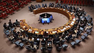 Alemania se queda sin escaño en el Consejo de Seguridad de la ONU