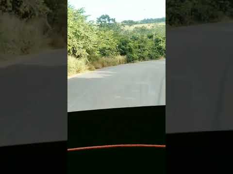 curva da morte entre balsas e Tasso Fragoso