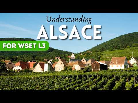 Everything You Need to Know About ALSACE (for WSET Level 3)