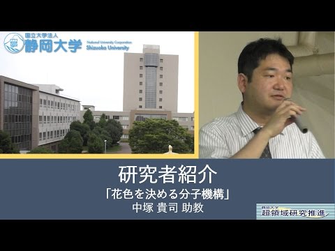 第10回超領域研究会「花色を決める分子機構」中塚 貴司 助教(農学) - 静岡大学 【研究者紹介】