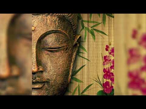 Joseph Goldstein – Insight Hour – Ep. 28 – Ten Unwholesome Actions