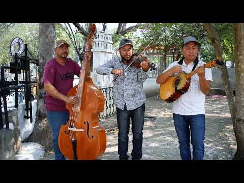 Cruz De Palo - Los Potrillos De Turicato