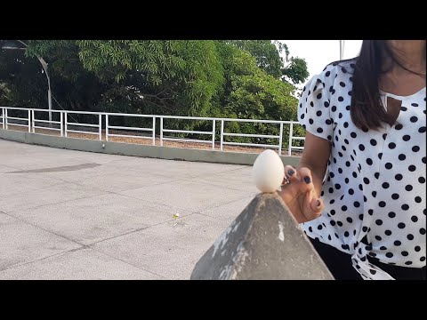 Balancing an EGG at Ground Zero on the Equator magnetic field on the Equator flyby
