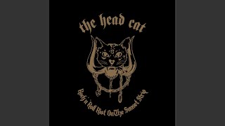 Fool's Paradise (Live)