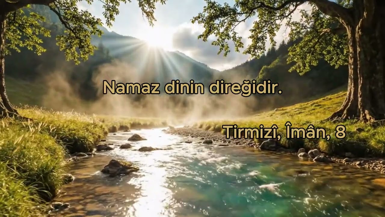 Hayatının Direği Sağlam mı? 🕌⚓ #hadis