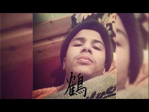 🐝Nizzy Bee 🐝 ChinWi