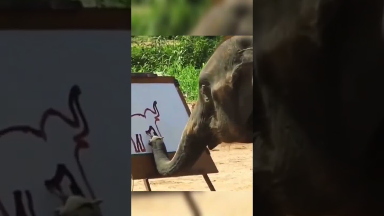 Can the #elephant #draw? #Friday #fridayfun #fridayfinds  #drawing  #painting #artist #animalart
