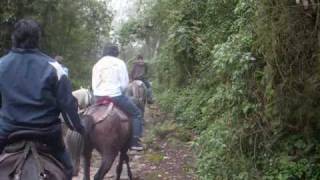 preview picture of video 'Cabalgando en Chicaque'