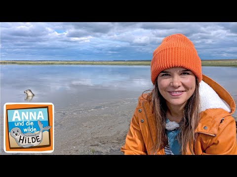 Zurück in die Nordsee | Anna und die wilde Hilde | #5 von 5