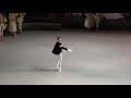 03 10 18 Viktor Lebedev Swan Lake Act I Variation Of Siegfried