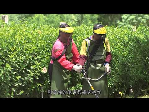 博訓中心-清潔園藝班